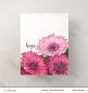 Preview: Paint A Flower - Gerbera Revolution Clear Stamps Altenew 2