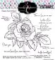 Preview: Smell the Roses Clear Stamps Colorado Craft Company by Big & Bold
