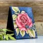 Preview: Smell the Roses Stanzen Colorado Craft Company by Big & Bold 1