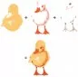 Mobile Preview: Duckling color layering Stempel Hero Arts 1