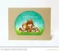 Preview: MFT BB75 Squirrel Clear Stamps MyFavoriteThings 3