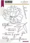 Preview: PR105 Bloom And Grow Stempel Hero Arts