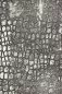 Preview: Reptile 3d embossing folder tim holtz sizzix 1