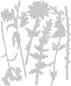 Preview: Vault Wildflowers Tim Holtz Thinlits Colorize Dies Sizzix 1