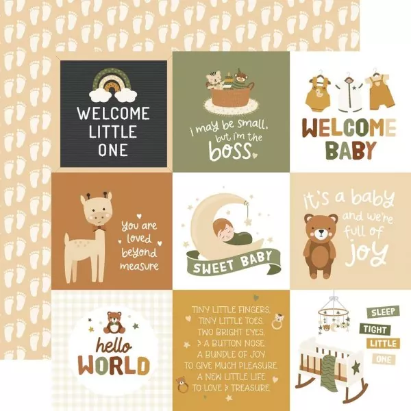 Echo Park Special Delivery Baby 12x12 inch collection kit 4