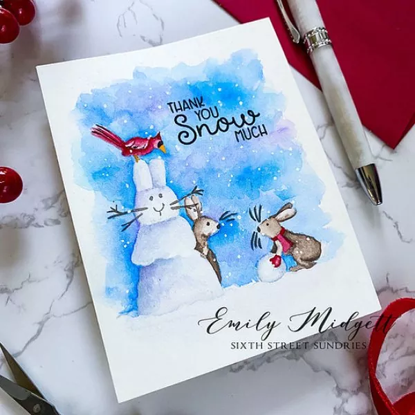 Flurries of Fun Clear Stamps Colorado Craft Company by Anita Jeram 1