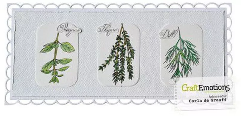 craftemotions clearstamps Herbs carla creaties 1