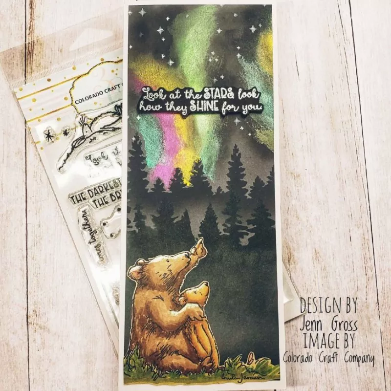 Stargazers Clear Stamps Colorado Craft Company by Anita Jeram 3