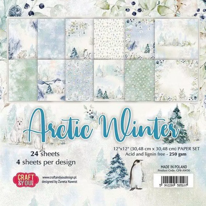 Arctic Winter Papier Small Paper Set Craft & You