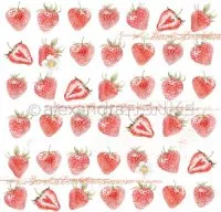 Erdbeeren - 12"x12" - Alexandra Renke