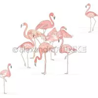 Flamingogruppe - Alexandra Renke - Designpapier - 12"x12"