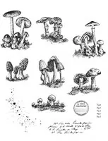 Tiny Toadstools - Cling Stamps - Tim Holtz