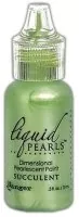 liquid pearl ranger Succulent