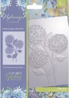 Hydrangea - 3D Embossing Folder - Hydrangea Blooms - Crafters Companion