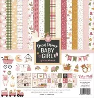 Echo Park Special Delivery Baby Girl 12x12 inch collection kit