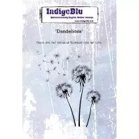 Dandelions - Red Rubber Stamp A6 - IndigoBlu