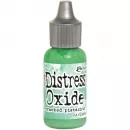 Cracked Pistachio - Distress Oxide - Reinker