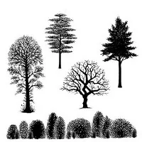 Tree Scene - Clear Stamps - Lavinia